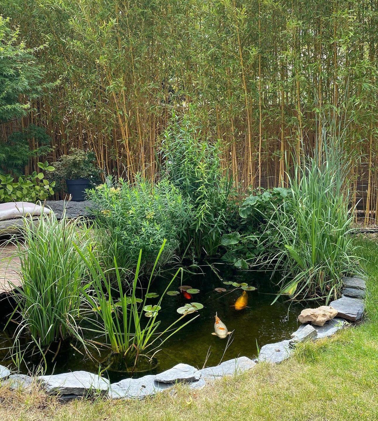 Entretien de jardins 1